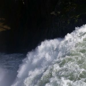 Meet your Posher, Sophie